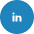 LinkedIn icon